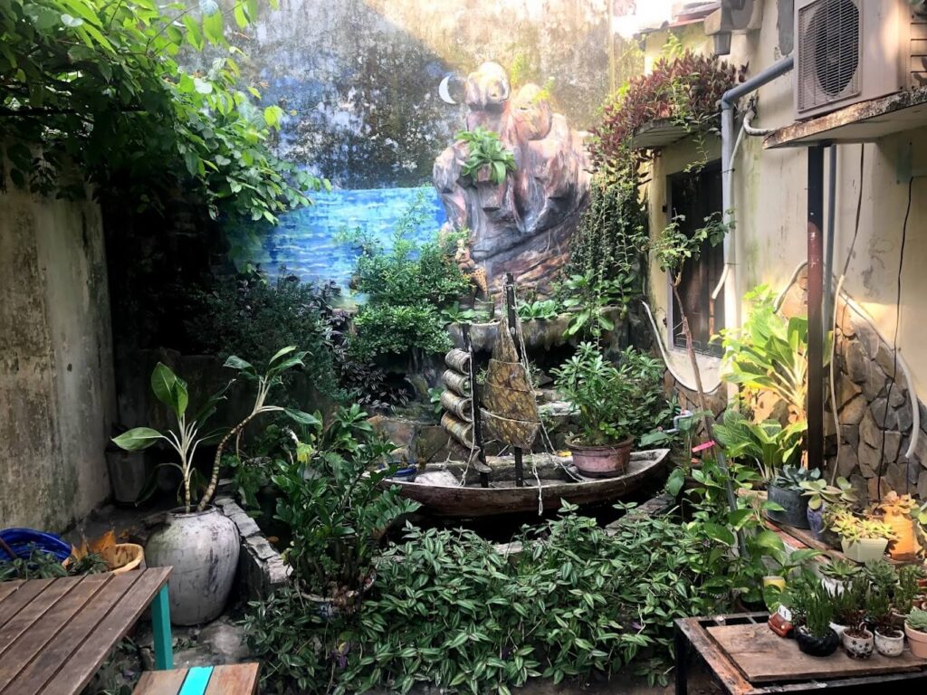 a plant in a garden
