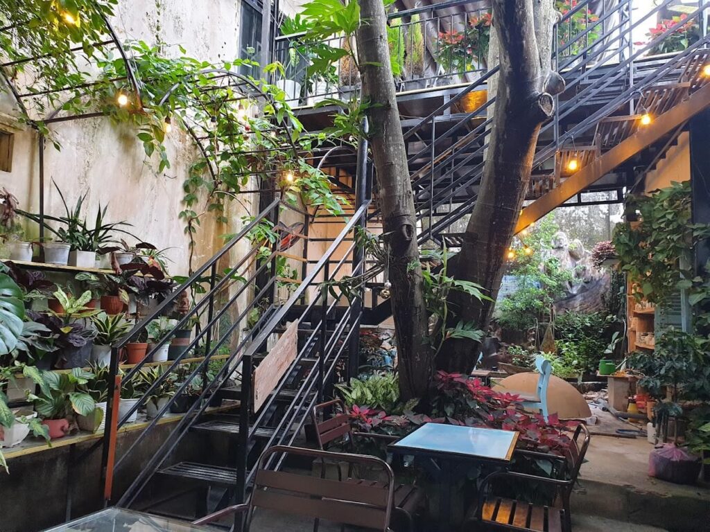 a large tree in a city