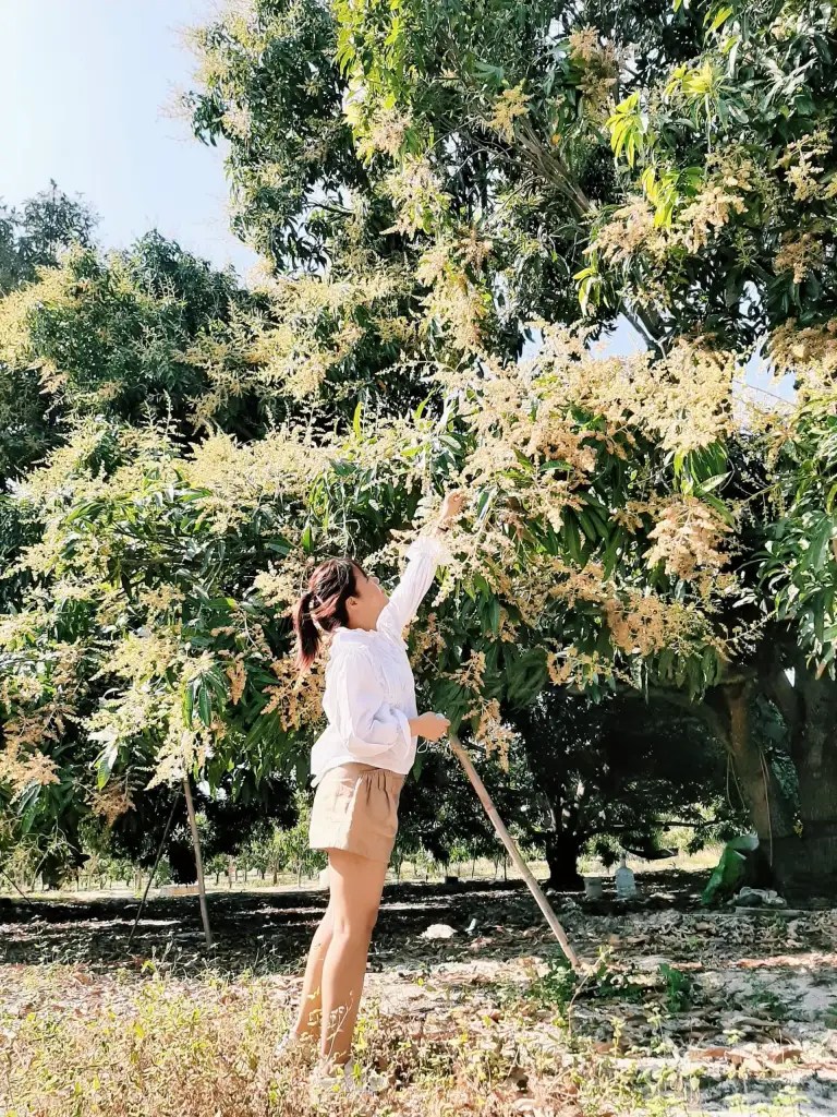 a person standing in front of a tree