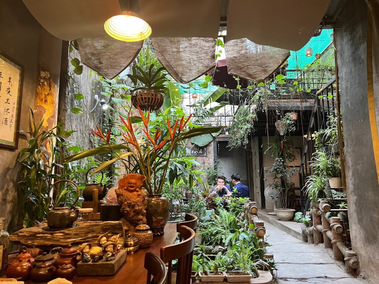 a display in a store