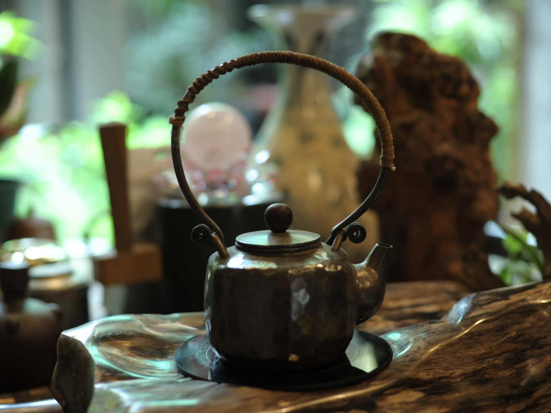 a close up of a flower pot