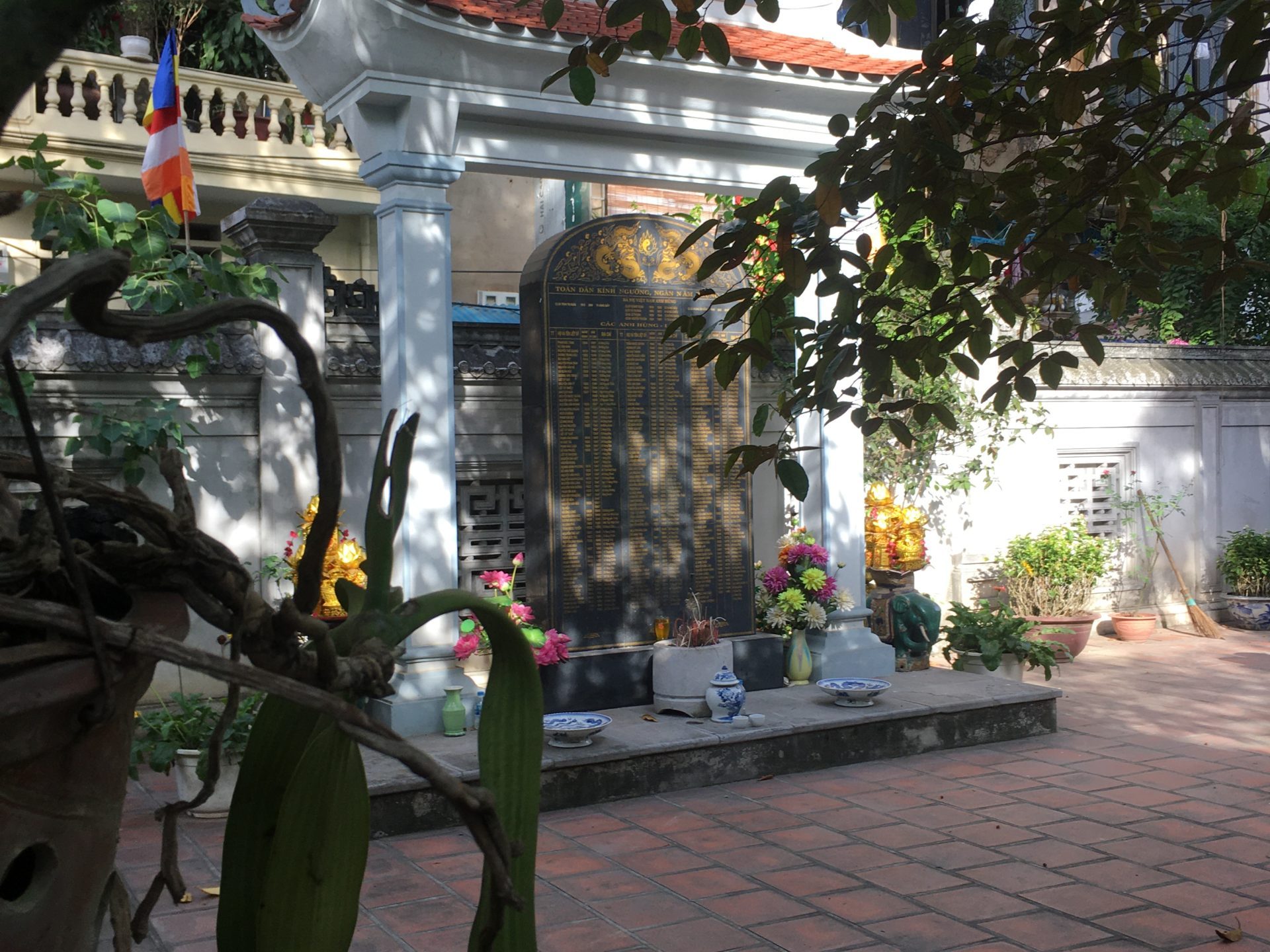 a tree in the middle of the street