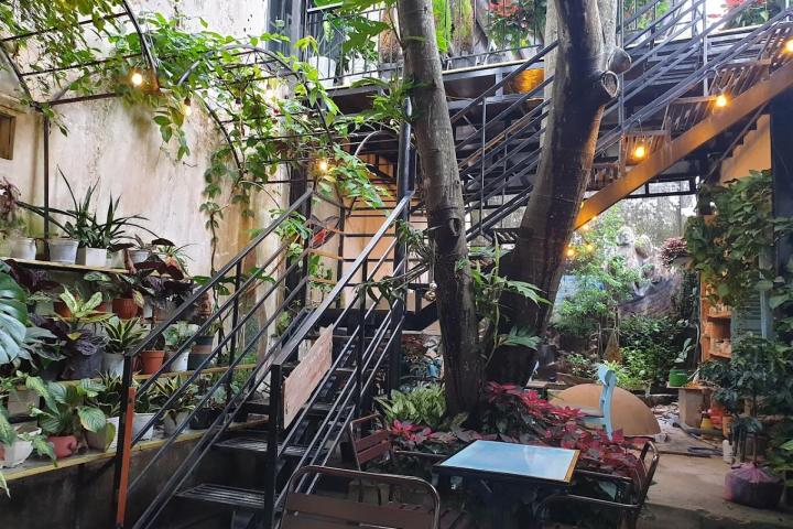 a large tree in a city