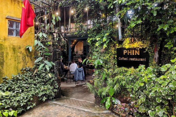 a person in a garden