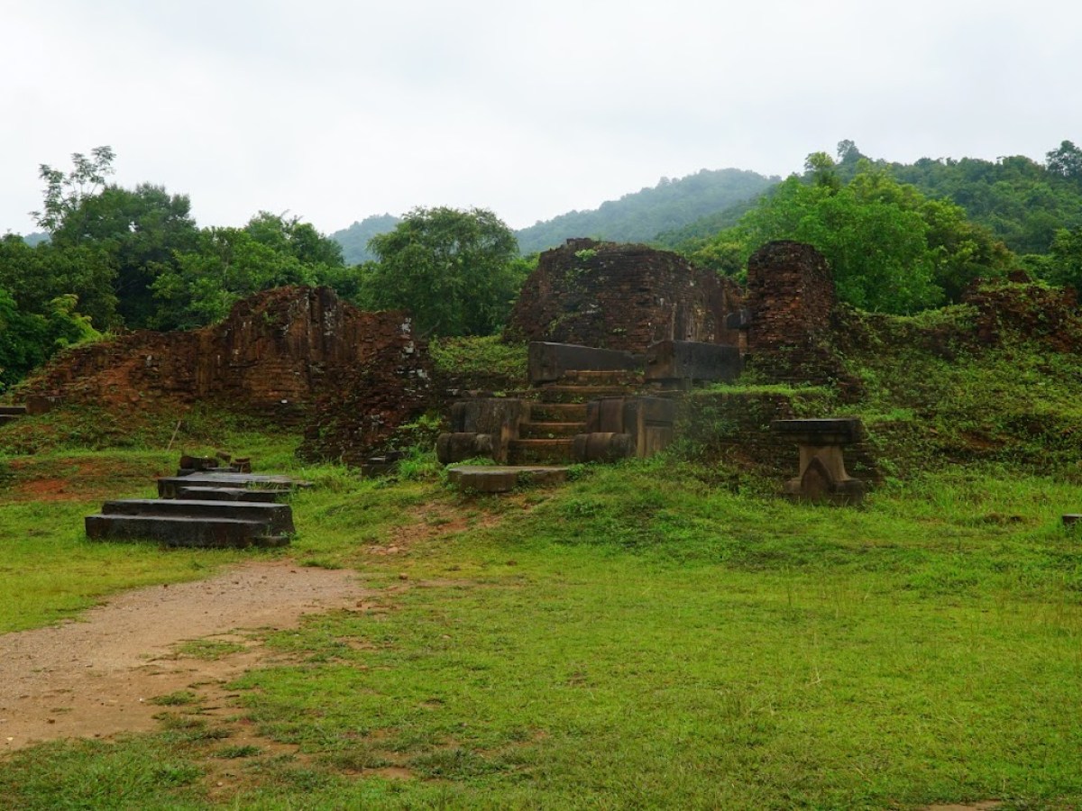 a close up of a lush green field