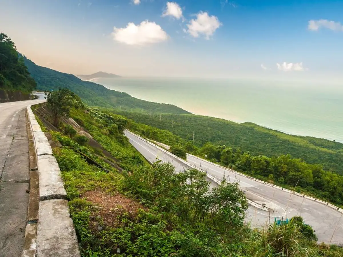a path with trees on the side of a mountain road