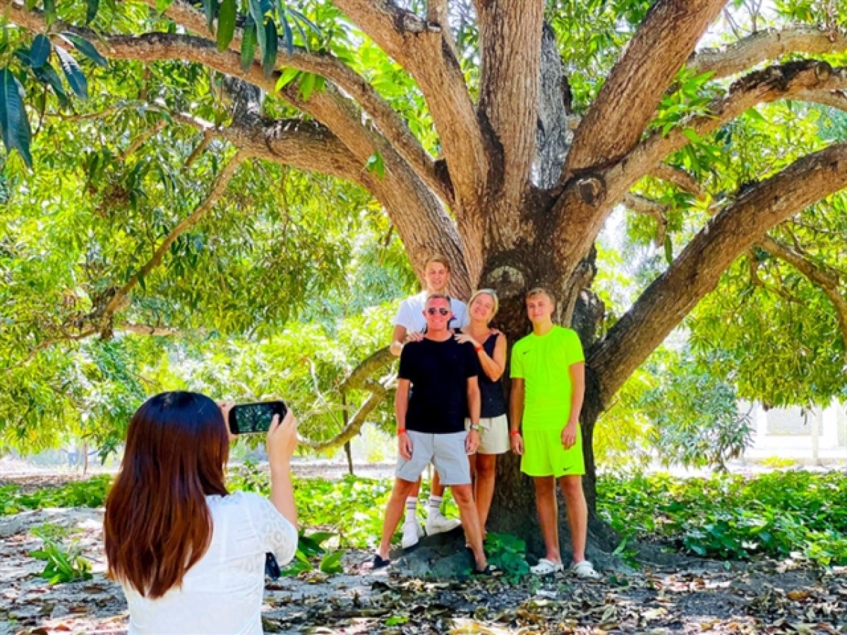 a group of people standing next to a tree