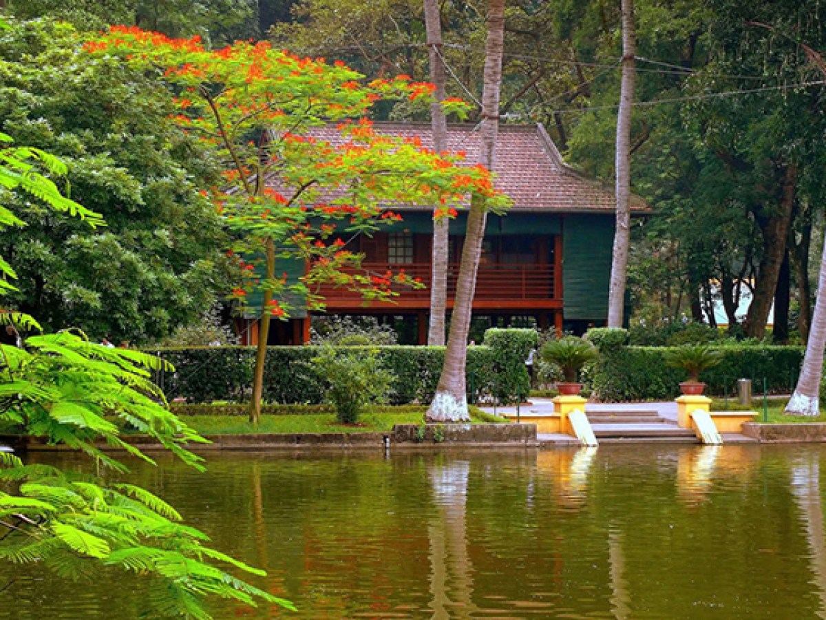 a body of water with trees in the background