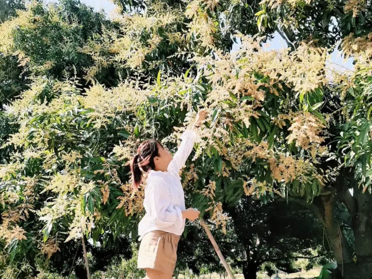 a person standing in front of a tree