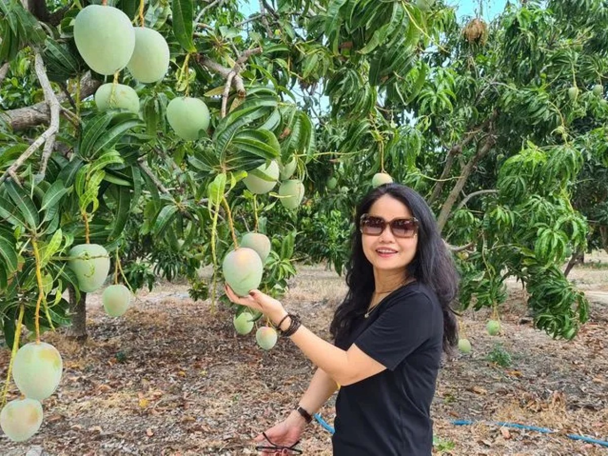 a woman standing in front of a palm tree