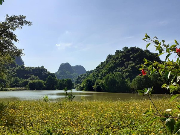 Scenic view of a lake surrounded by mountains and trees under a clear blue sky.
