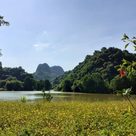 Scenic view of a lake surrounded by mountains and trees under a clear blue sky.