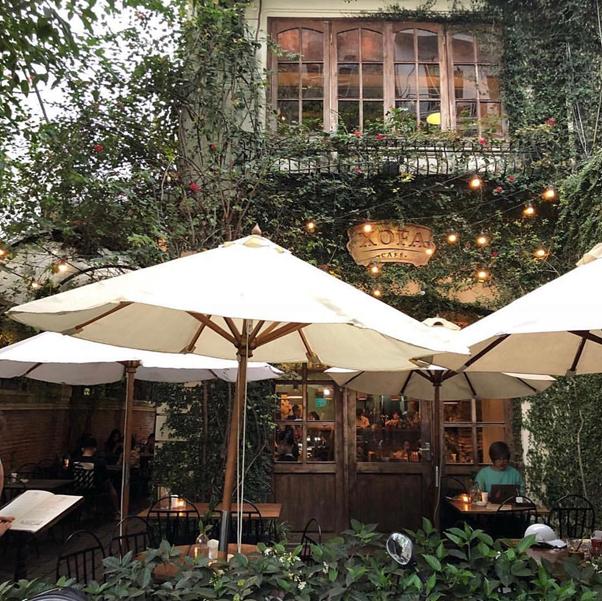 Outdoor cafe with white umbrellas and ivy-covered building facade.