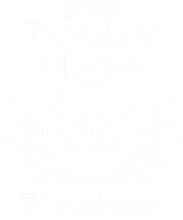 2020 Travelers' Choice TripAdvisor award logo with owl and wreath.